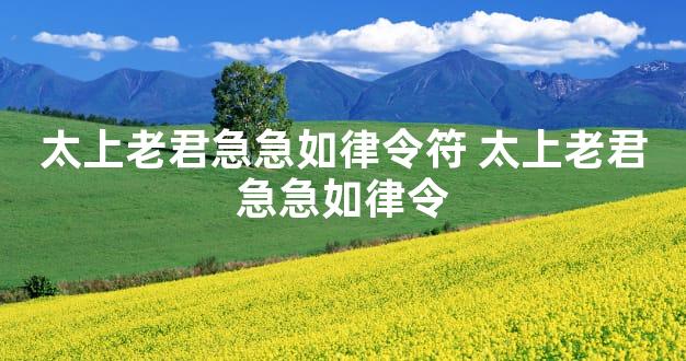太上老君急急如律令符 太上老君急急如律令